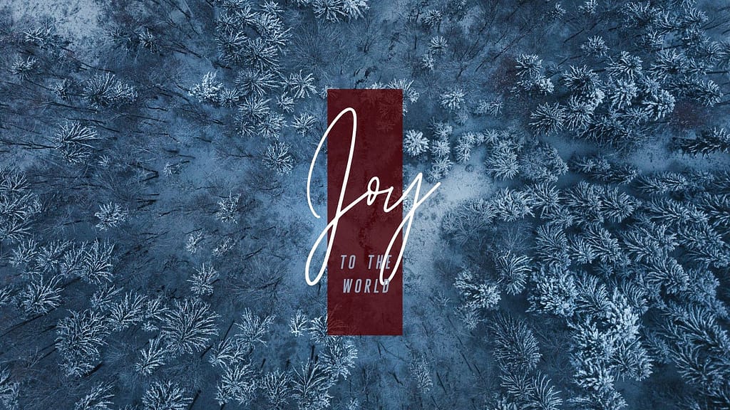 Where do you find your joy?